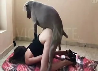Raw 7-min clip: angel works a huge cock in a dog scene