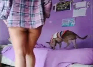 Latina in Vans wants dog to lick her feet