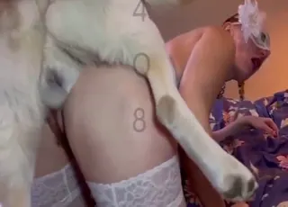 Masked babe in stockings humps a dog in raw zoo clip