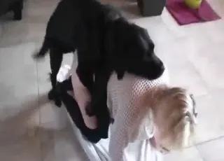 Girl takes cock on all fours like a dog in this zoosex clip