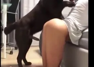 Brunette Veronica in hot zone zoo sex clip