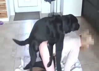 Horny momma takes a black doggo in a tight 5 min clip