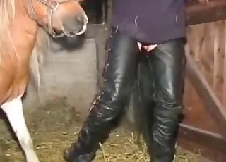 Leather BBW Milf Riding Horse in 62s Zoo Clip
