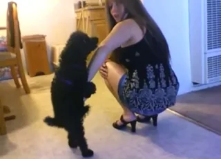 Mom lets dog bust a nut over her legs in short zoo clip