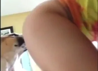 Blonde student gets a long lick from her dog in 60s zoo clip