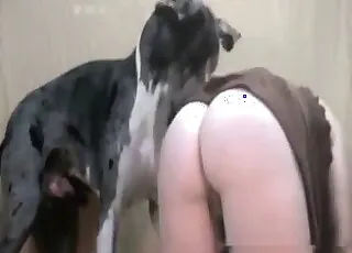 Horny animal licking a tasty ass in raw zoo sex clip